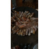 https://www.viande.co.kr/data/itemuse/thumb-32651700_AjNDJ8BQ_ae25239f37f7d444480b0523ace3d41824e5a131_100x100.jpg